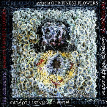 RESIDENTS - OUR FINEST FLOWERS