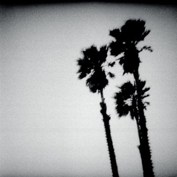 TWILIGHT SINGERS - BLACKBERRY BELLE