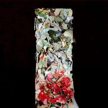 FOXTROTT - TALLER US