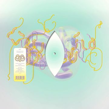 BJORK - HISTORY OF TOUCHES (KRAMPFHAFT RMX) (CLR/ETCHED)