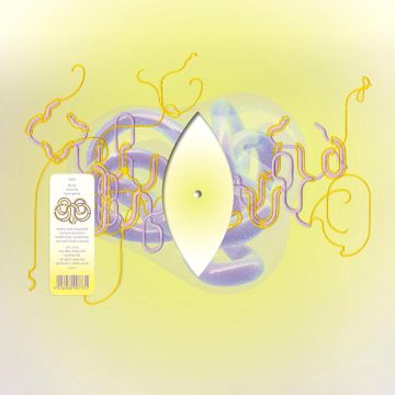 BJORK - FAMILY (REMIX BY KATIE GATELY) (CLEAR/ETCHED)