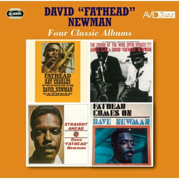 DAVID FATHEAD NEWMAN - RAY CHARLES PRESENTS DAVID NEWMAN / SOUND OF WIDE OPEN SPACES / S
