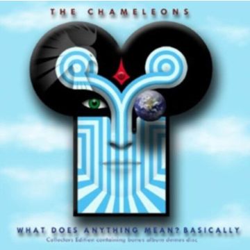 CHAMELEONS - WHAT DOES ANYTHING