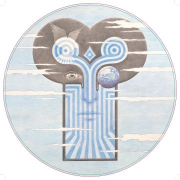 CHAMELEONS - WHAT DOES ANYTHING MEAN? BASICALLY (PICTURE DISC/LIMITED/IMPORT)