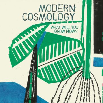 MODERN COSMOLOGY - WHAT WILL YOU GROW NOW? (IMPORT)