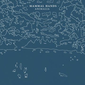 MAMMAL HANDS - ANIMALIA