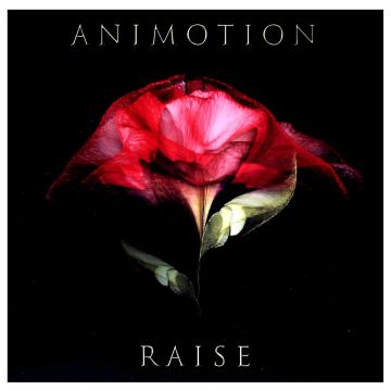 ANIMOTION - RAISE YOUR EXPECTATIONS