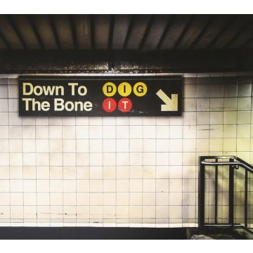 DOWN TO THE BONE - DIG IT