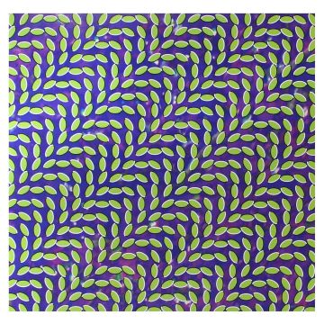 ANIMAL COLLECTIVE - MERRIWEATHER POST PAVILLION