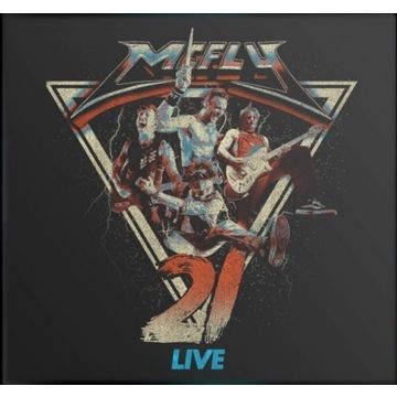 MCFLY - 21 LIVE