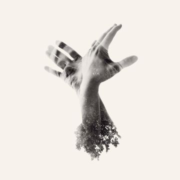 LAST DINOSAUR - NOTHING