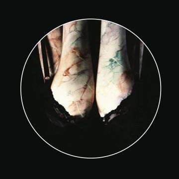 RENALDO & THE LOAF - ELBOW IS TABOO/ELBONUS