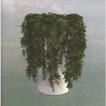 ERRORS - LEASE OF LIFE