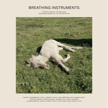 VARIOUS ARTISTS - BREATHING INSTRUMENTS