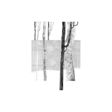 VARIOUS ARISTS - SYSTEMA NATURAE I