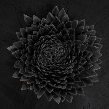 JONSI - OBSIDIAN
