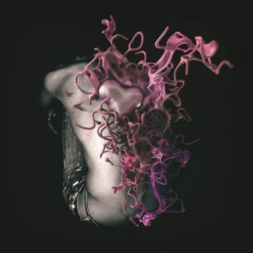 NUEL - FANTASIA (IMPORT)