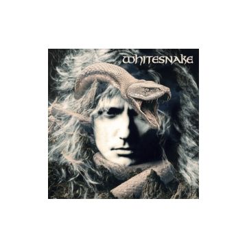 WHITESNAKE - ROCK IN RIO 1985 CICADE DO ROCK. BARRA DA TIJUCA. RIO DE JANEIRO