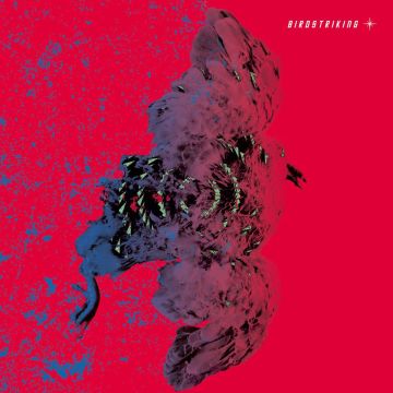 BIRDSTRIKING - BIRDSTRIKING