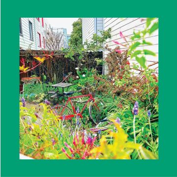 REDS, PINKS & PURPLES - UNWISHING WELL (WHITE VINYL)
