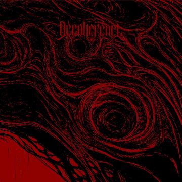 DECOHERENCE - DECOHERENCE (IMPORT)