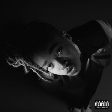 LITTLE SIMZ - GREY AREA (WHITE VINYL)