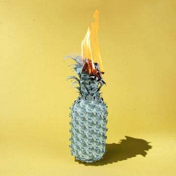 HAPPY FITS - UNDER THE SHADE OF GREEN