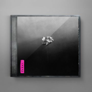 LITTLE SIMZ - LOTUS