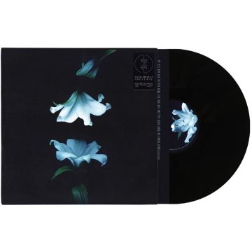WASIA PROJECT - NOCTURNE