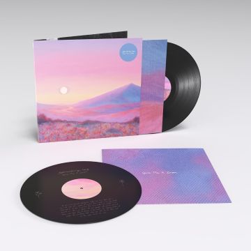 STRAWBERRY GUY - GIVE ME A DREAM (180G/SIDE D ETCHED)