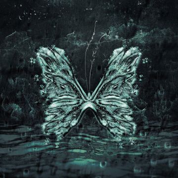X/O - CHAOS BUTTERFLY