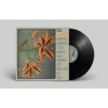 XYLITOL - BLUMENFANTASIE