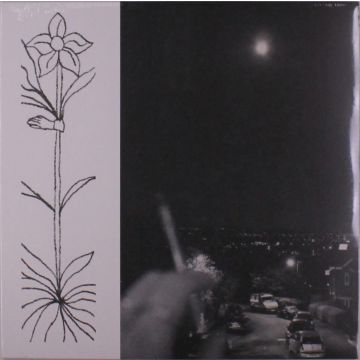 JABU - SOFT & GATHERABLE STAR