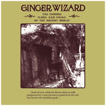 GINGER WIZARD - CURIOUS FLORA & FAUNA OF THE ANCIENT WORLD