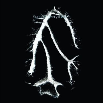 SEEFEEL - EVERYTHING SQUARED