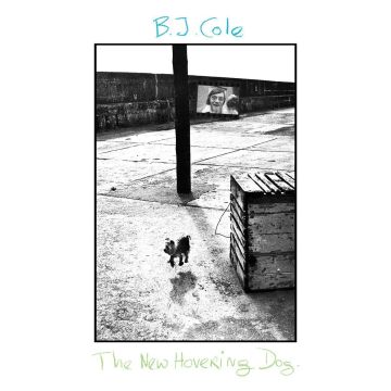 BJ COLE - NEW HOVERING DOG