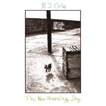 BJ COLE - NEW HOVERING DOG