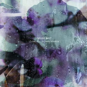 INDIGO MIST - THAT THE DAYS GO BY &