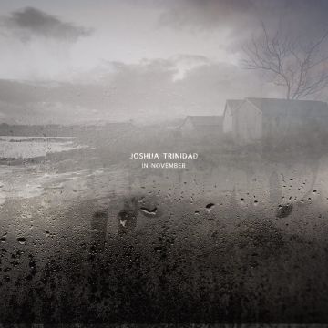 JOSHUA TRINIDAD - IN NOVEMBER