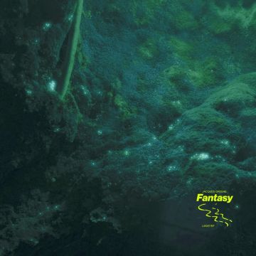 JACQUES GREENE - FANTASY (LIMITED FOREST GREEN VINYL/DL CARD)