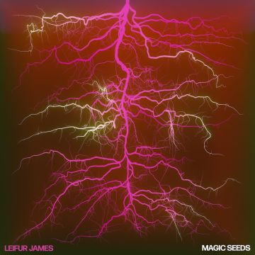 LEIFUR JAMES - MAGIC SEEDS (180G)
