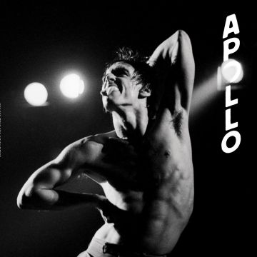 IGGY POP - APOLLO