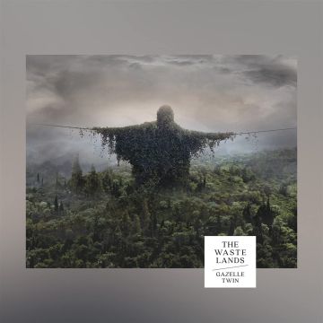 GAZELLE TWIN - WASTELANDS