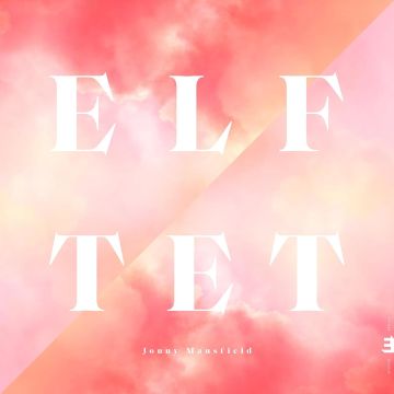 MANSFIELD JONNY - ELFTET