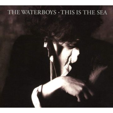 WATERBOYS - THIS IS THE SEA