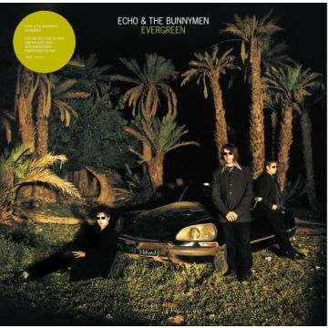 Echo & The Bunnymen - Evergreen