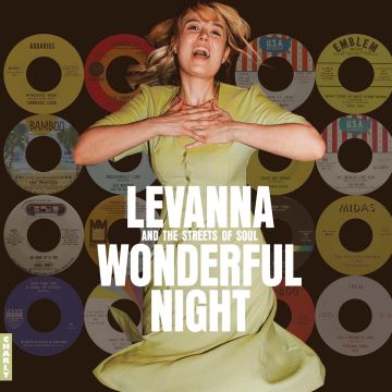 VARIOUS ARTISTS - WONDERFUL NIGHT