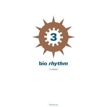 VARIOUS ARTISTS - BIO RHYTHM 3: RE-INDULGE
