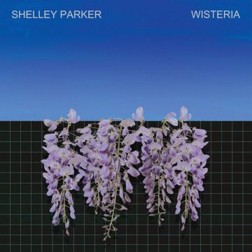 SHELLEY PARKER - WISTERIA