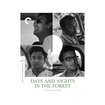 DAYS & NIGHTS IN THE FOREST (4KUHD)